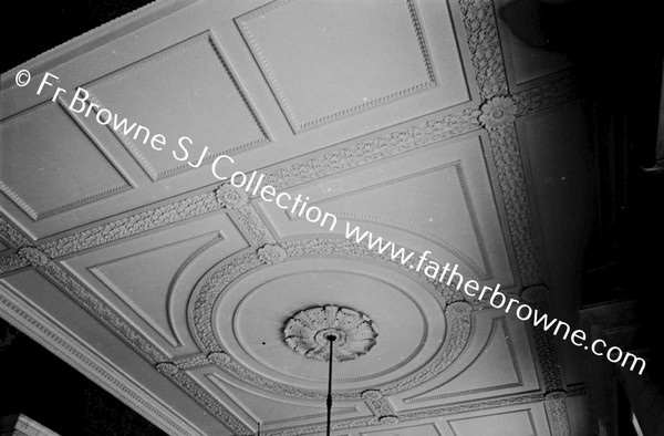 ST MARY'S CEILING OF HALL EMO COURT